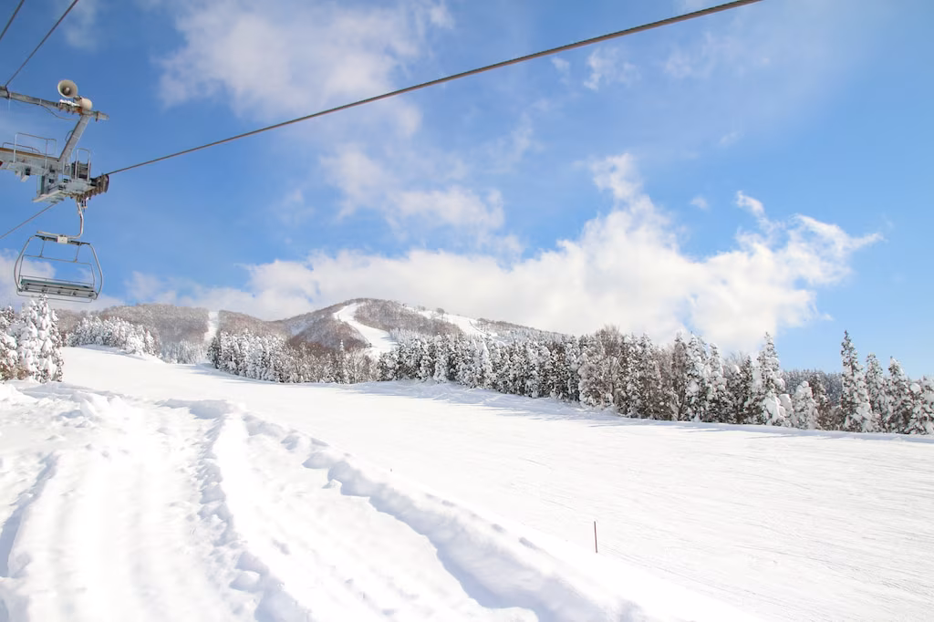 冬の福井観光で絶対外せないおすすめスポット5選