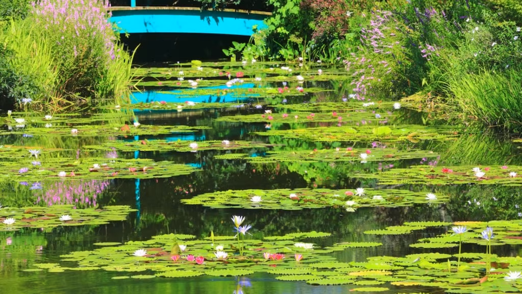 高知県北川村周辺のおすすめ観光スポット4選