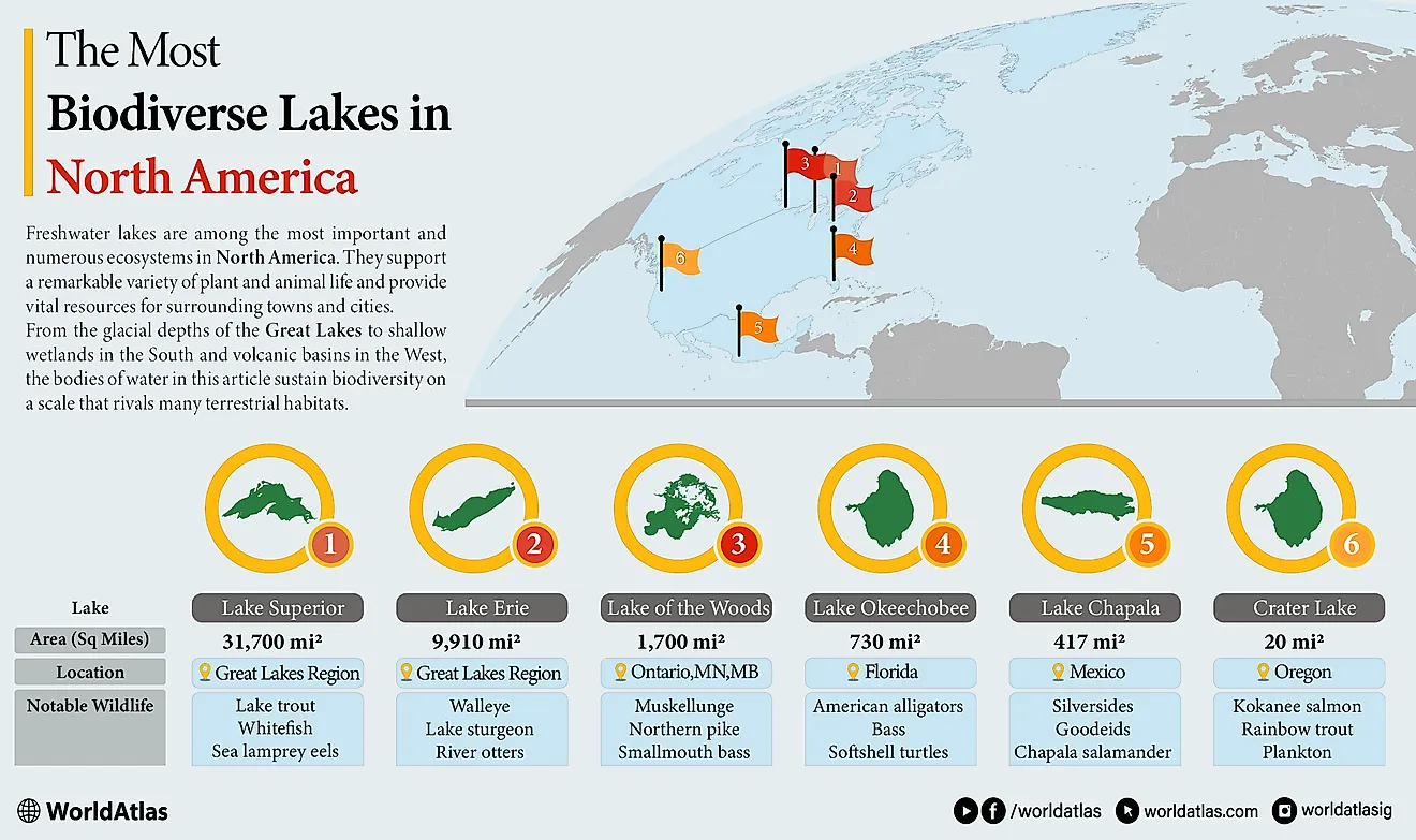 北米で最も生物多様性の湖