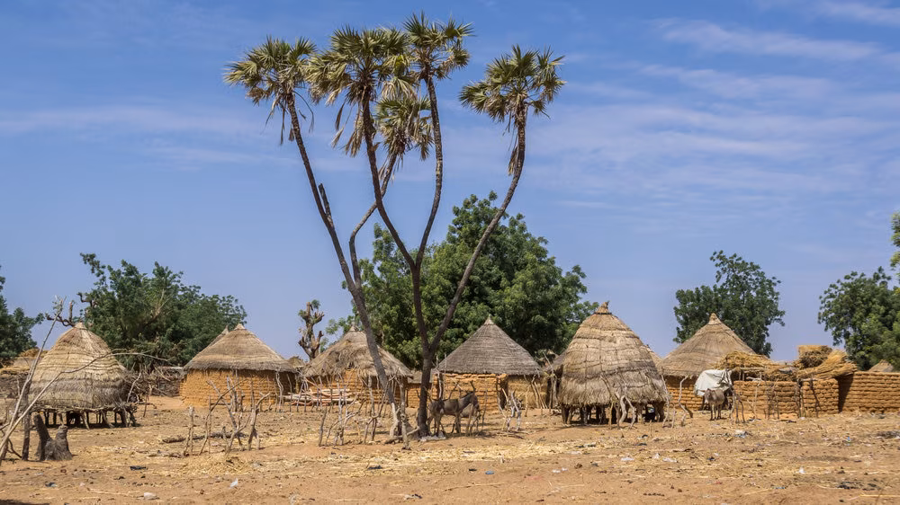 女性が喜ぶ石鹸とはちみつ！ナイジェリアのおすすめお土産