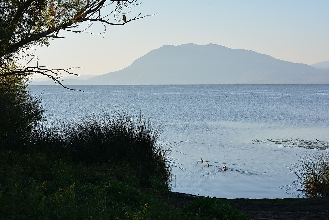 カリフォルニアで最も親切な退職者向けの町 10 選