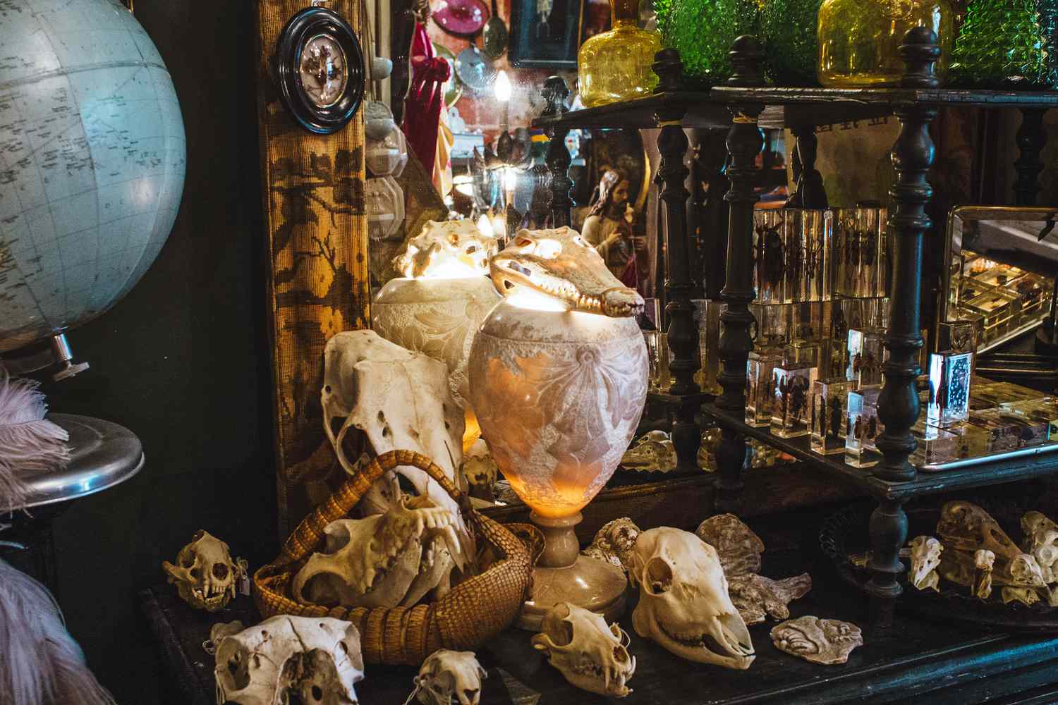 パリの奇妙で風変わりな店：好奇心キャビネットから書店まで