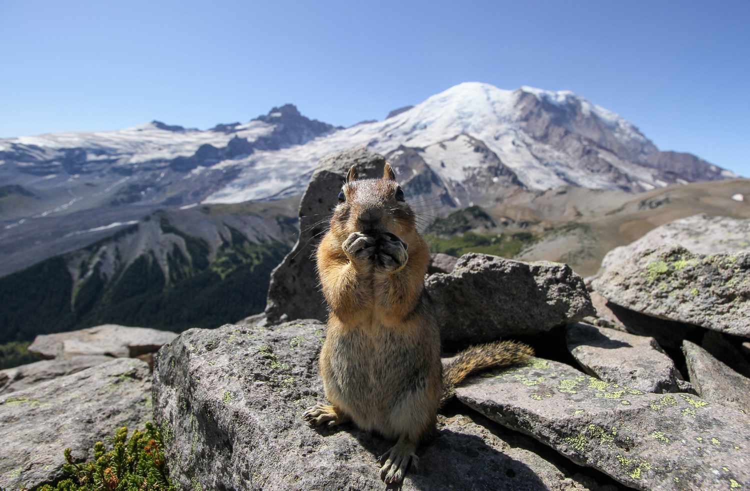 タコマからの日帰り旅行の楽しいアイデア