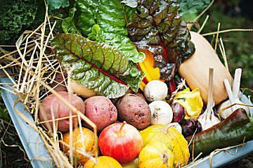 BC、バンクーバーで地元の食べ物を食べる方法