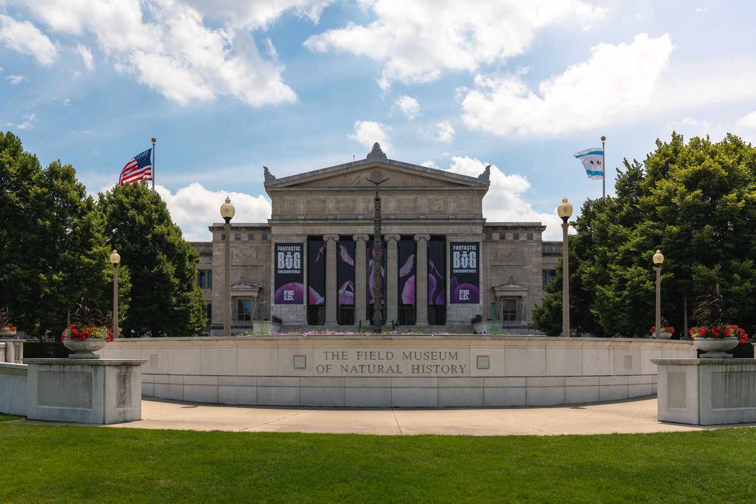 シカゴの自然史博物館への包括的なガイド