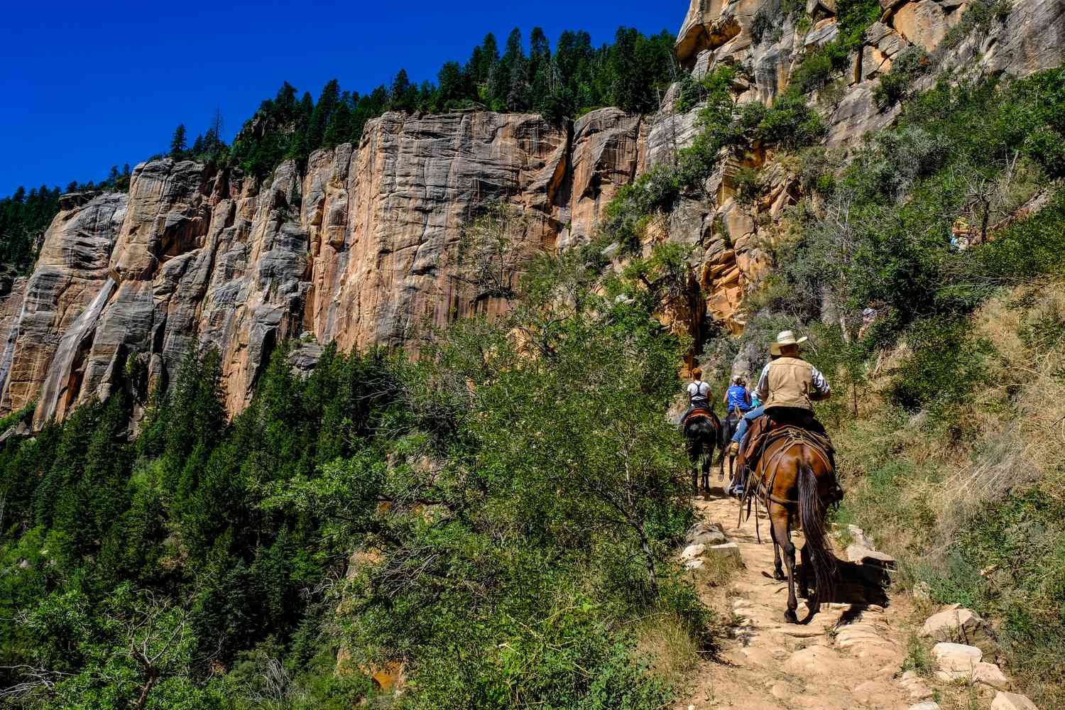 予算内でグランドキャニオンを訪問します
