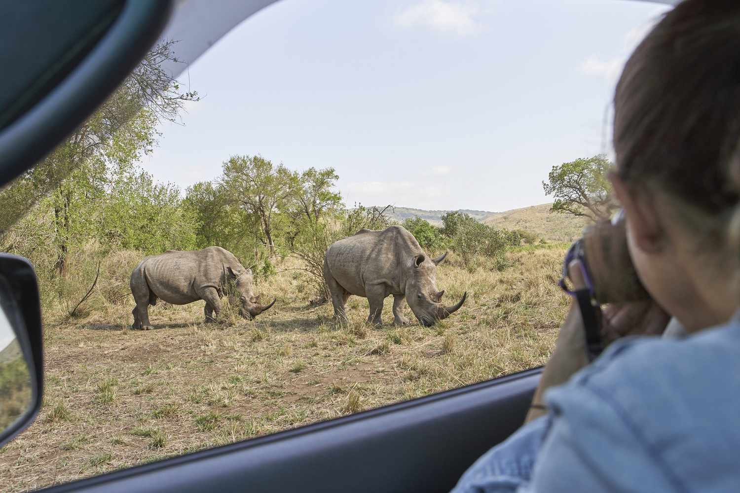南アフリカ、ホレイク・ミュフォロジ公園：完全なガイド