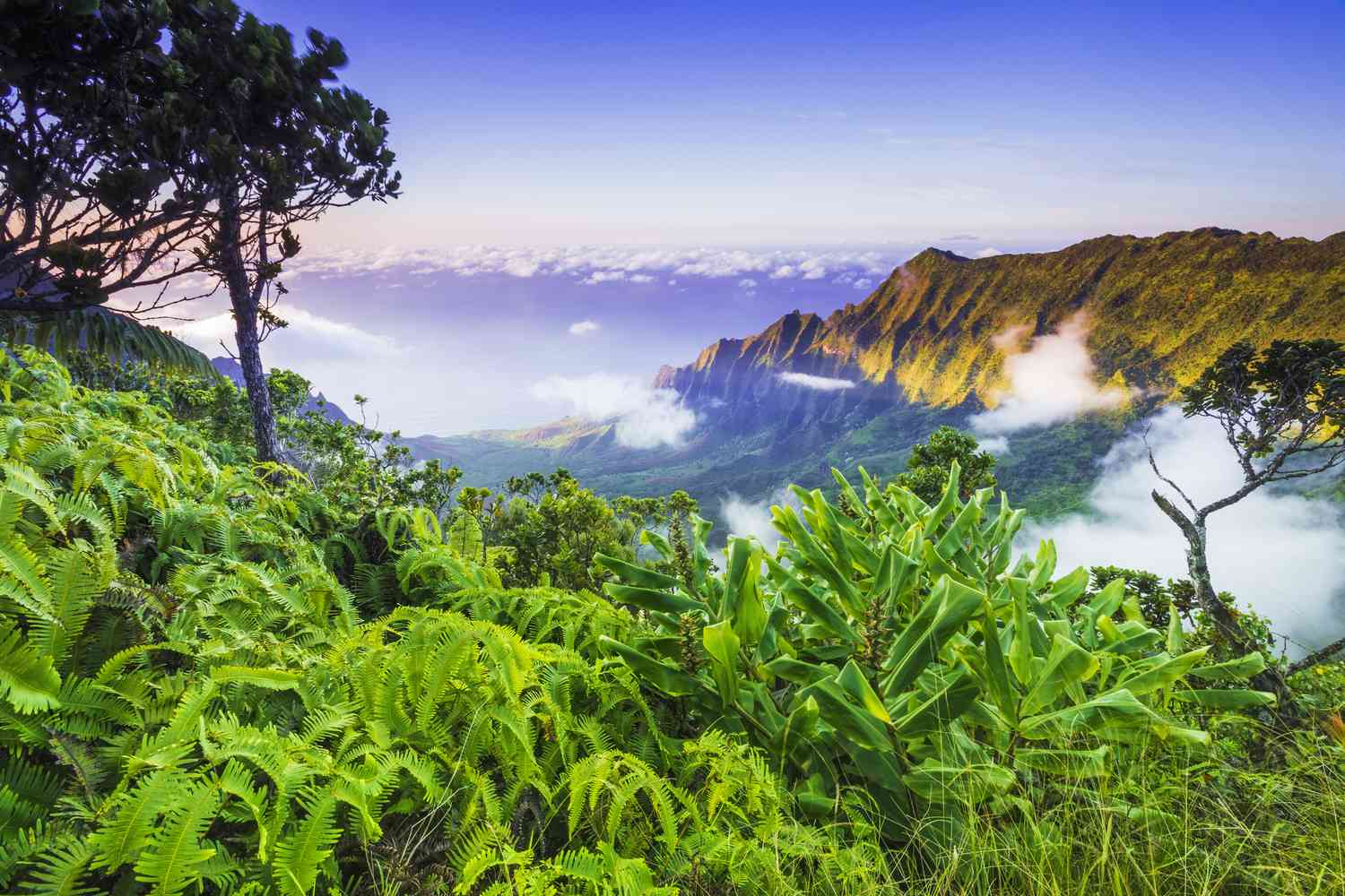 Tripsavvy Editors 'Choice Award受賞者2018