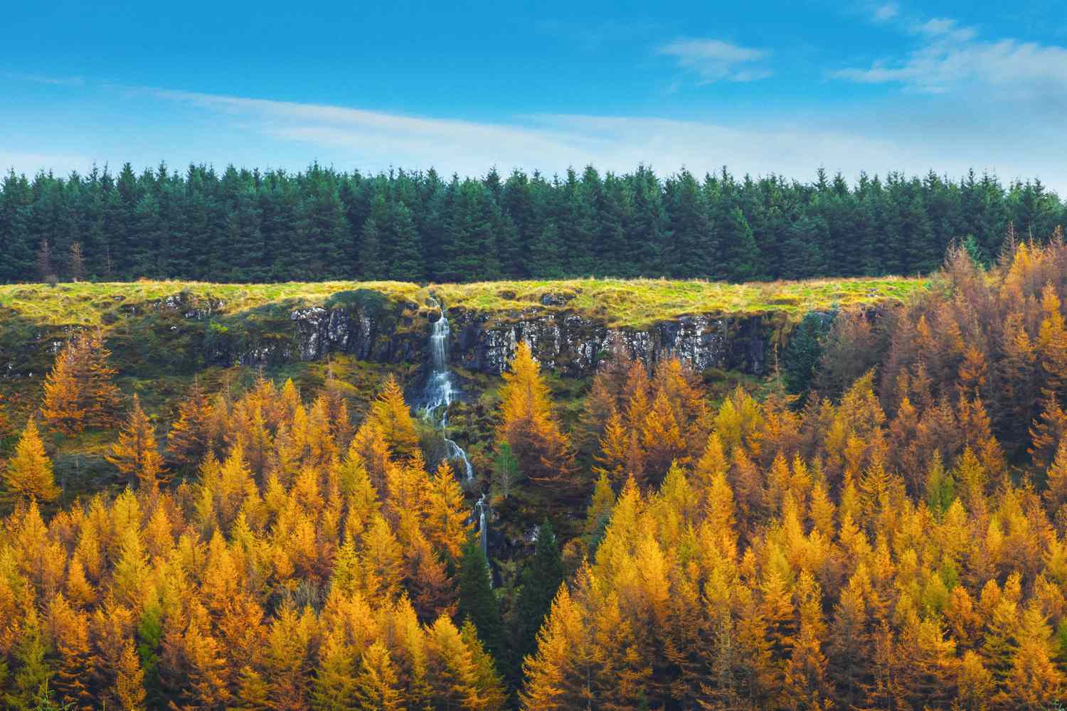 ベルファストからの7つの最高の日帰り旅行