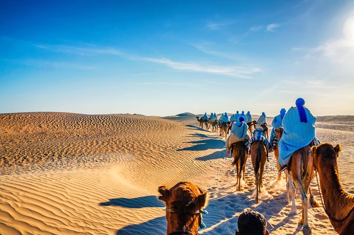 チュニジア旅行ガイド: 完璧な旅を計画しましょう