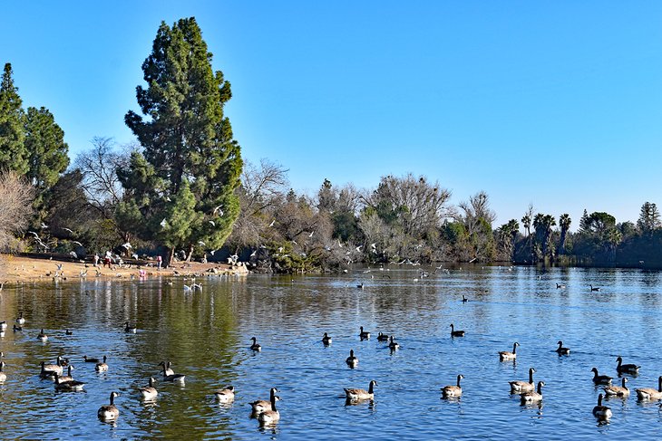 カリフォルニア州フレズノのベスト 13 公園