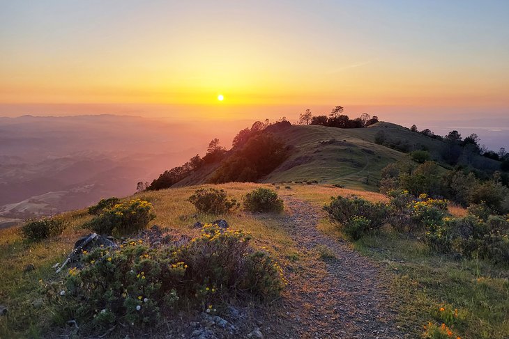 カリフォルニア州サンフランシスコ近郊の人気のハイキングコース 15 選