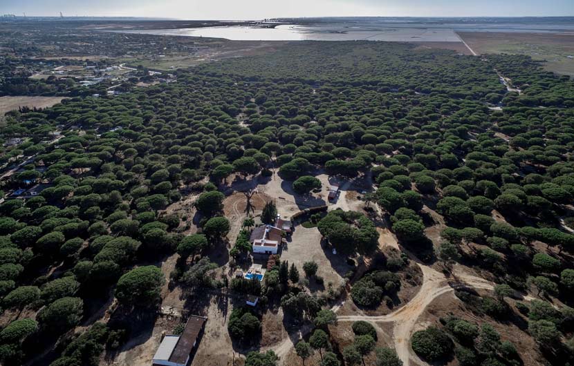 スペインに滞在するための12の驚くべき環境に優しい場所